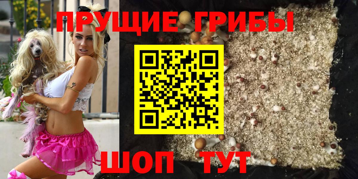Галлюциногенные грибы MAGIC MUSHROOMS  Вход с VPN  Галлюциногенные грибы GOLDEN TEACHER  Чернушка 